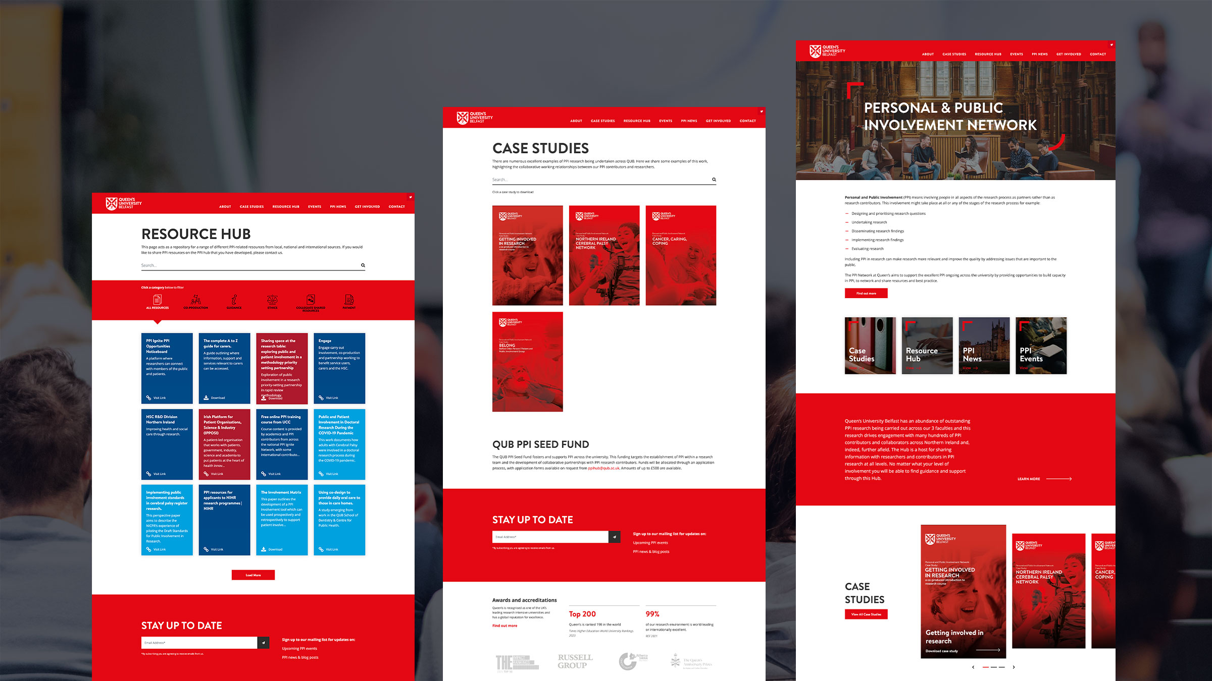 Several PPI Hub pages together, including the resource hub and case studies