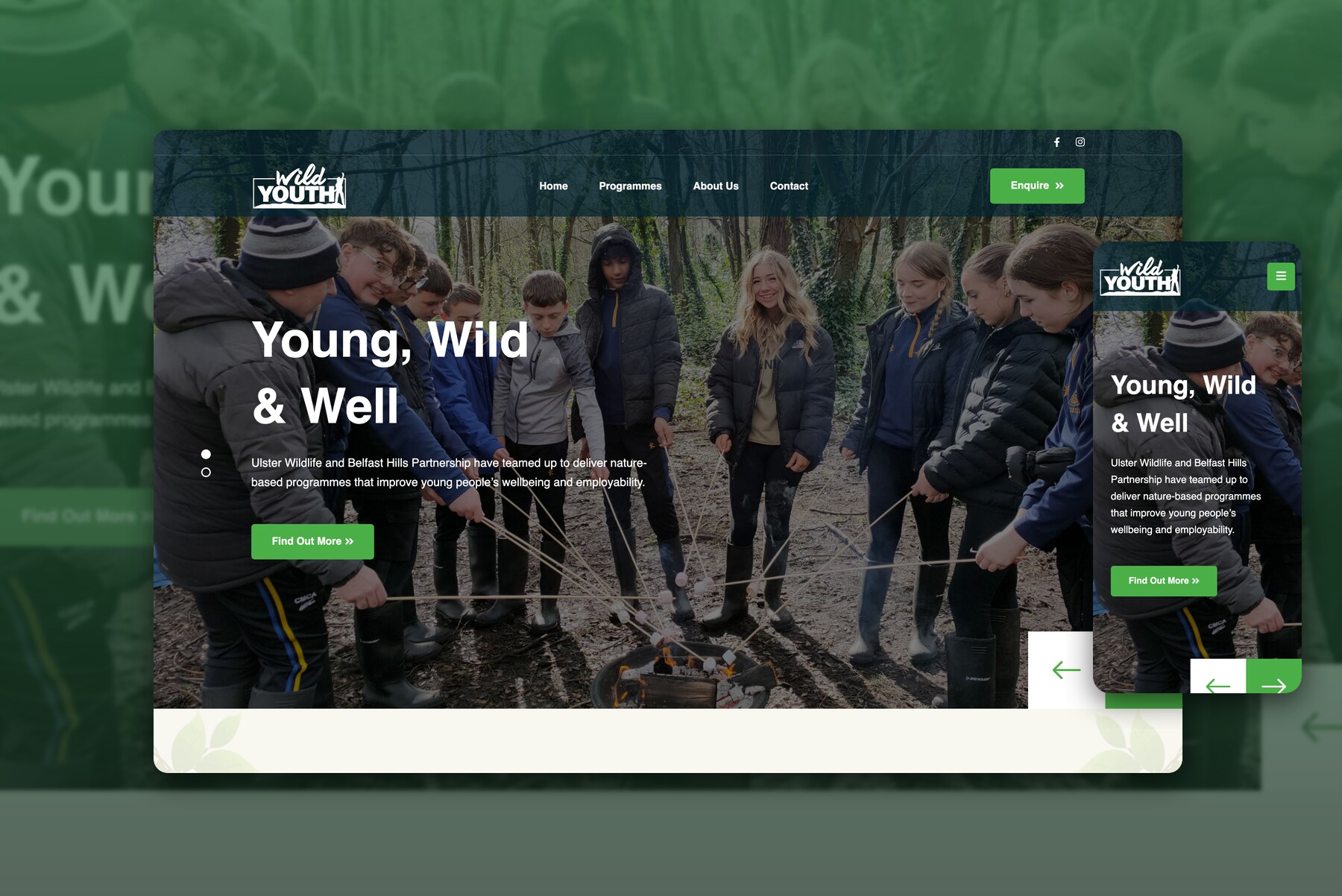 The Wild Youth homepage for the Young, Wild and Well programme, with young people in the Belfast Hills